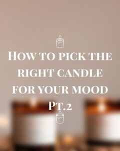 669816680 17967219699024681 3498054002739962592 n