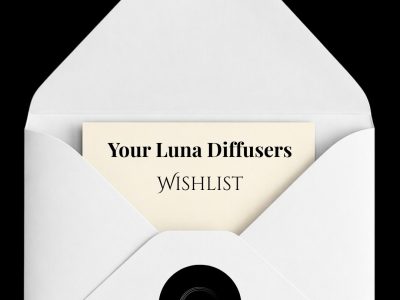 670415445 17968017492024681 4244505670143398119 n