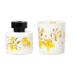 DSC01990 removebg preview