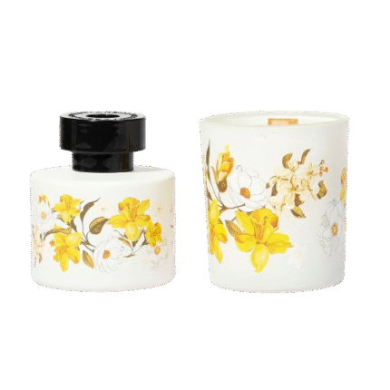 DSC01990 removebg preview