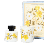 DSC01992 removebg preview